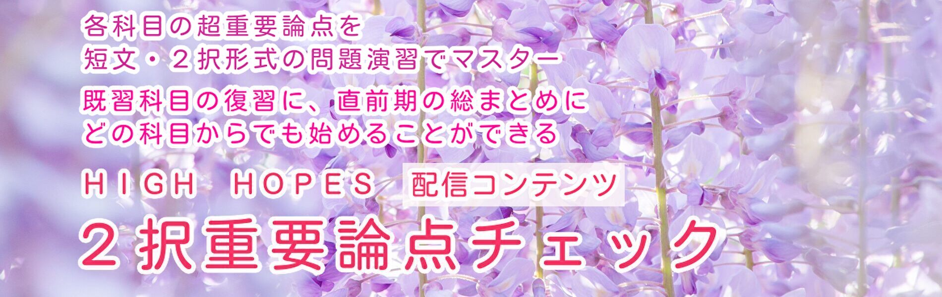 ２択重要論点チェック