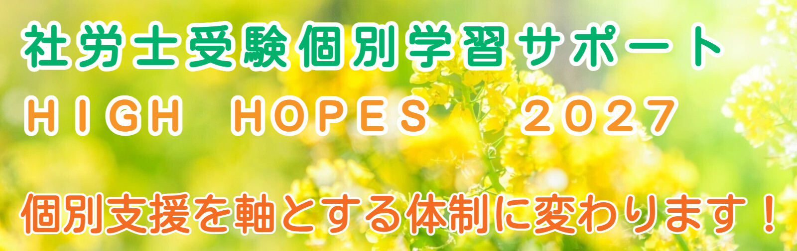 HIGH HOPES 2027
