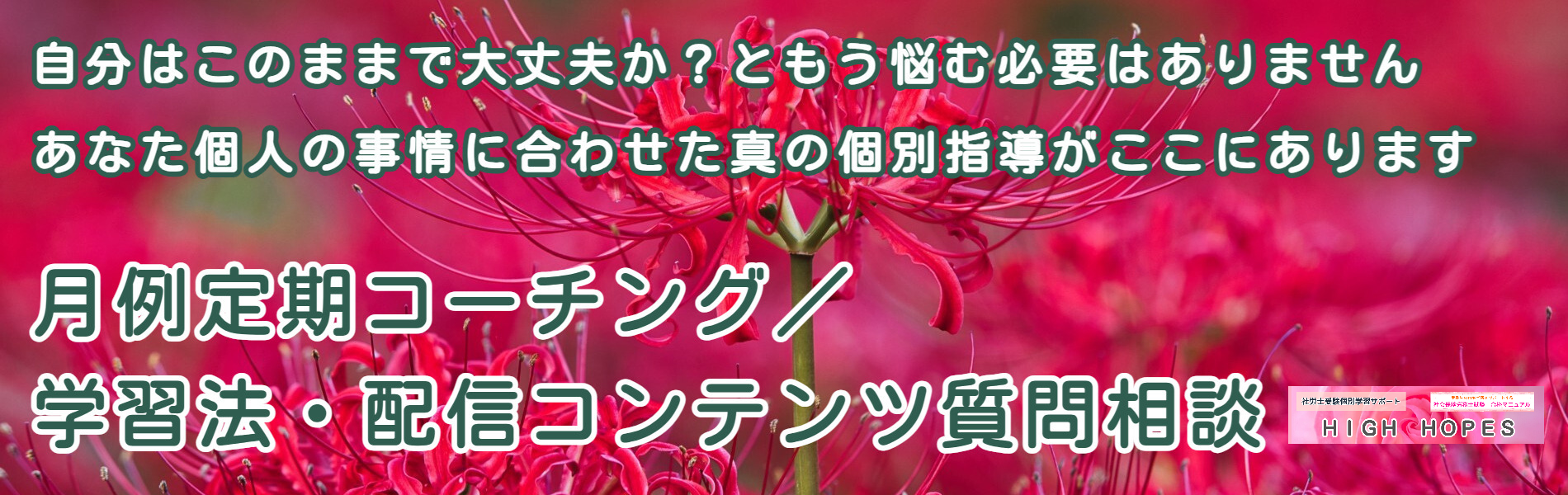 月例定期コーチング