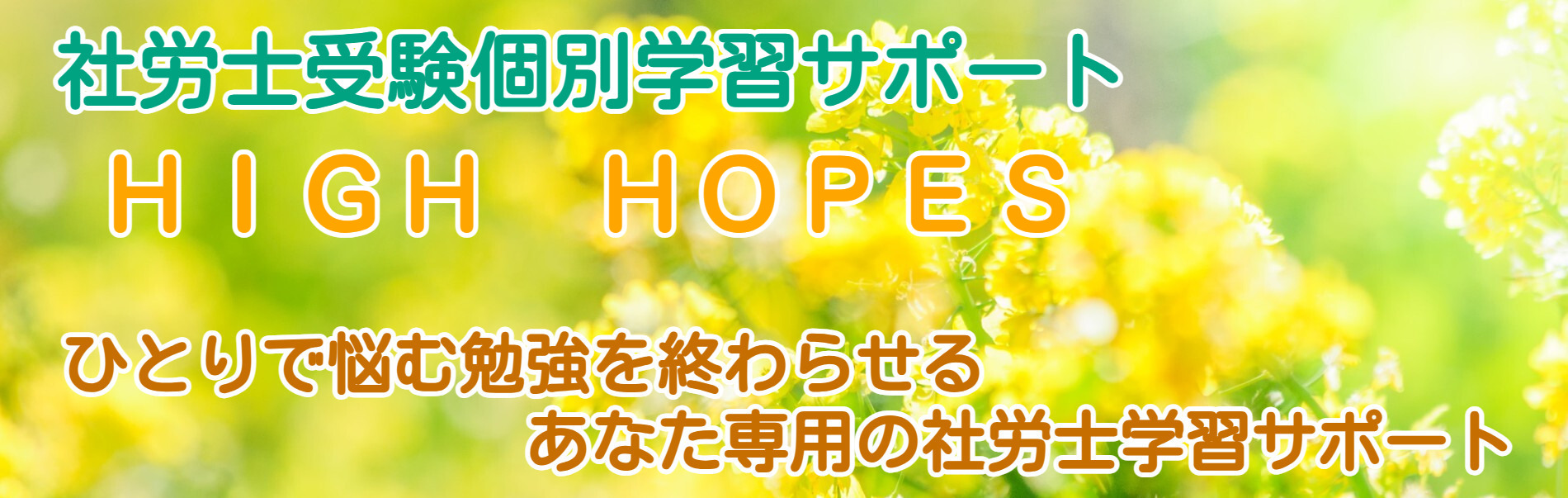 HIGH HOPES
