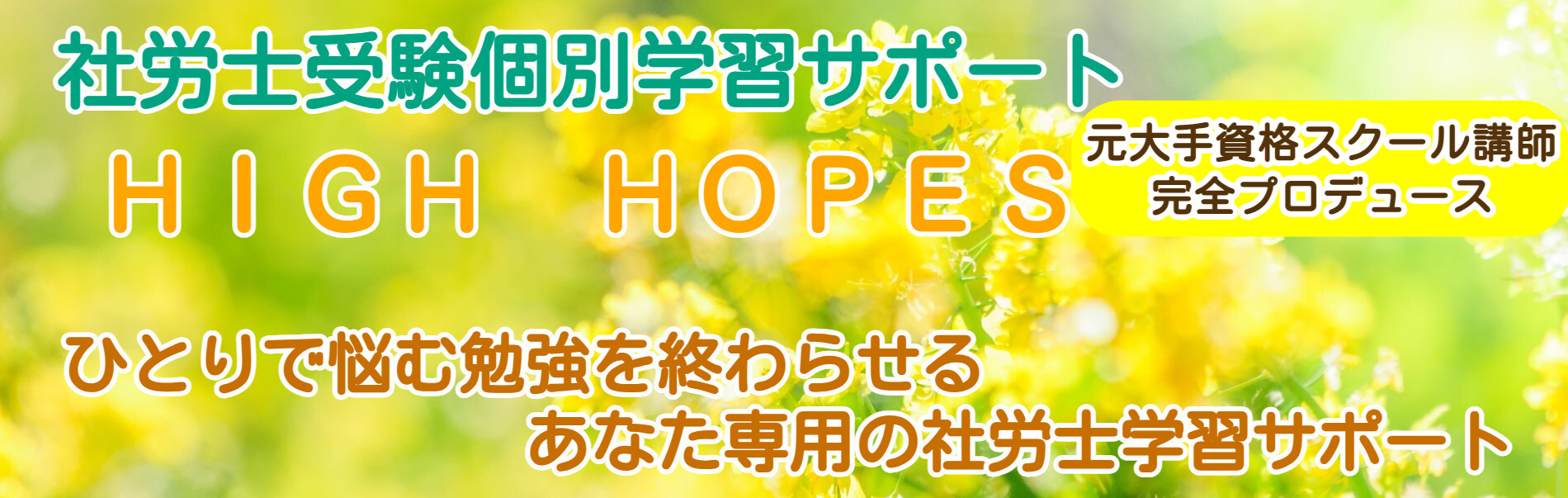 HIGH HOPES