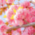 八重桜